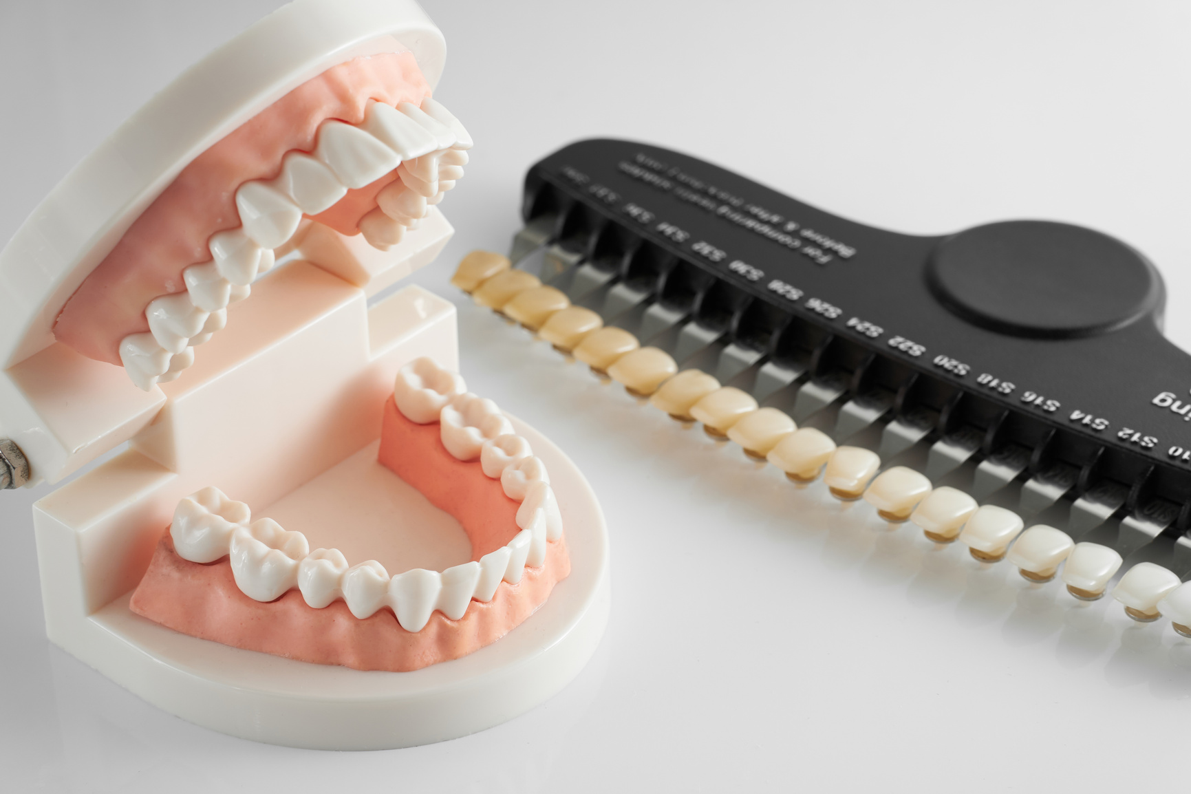 Teeth model and shade guide for whitening